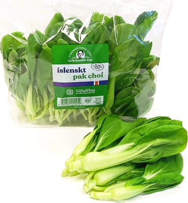 Pak Choi ÍSL