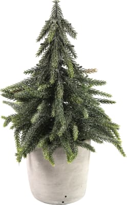 CF-Jólatré í potti Lucien 25cm.Displ-12