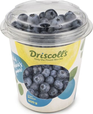 Driscolls Bláber í Fötu