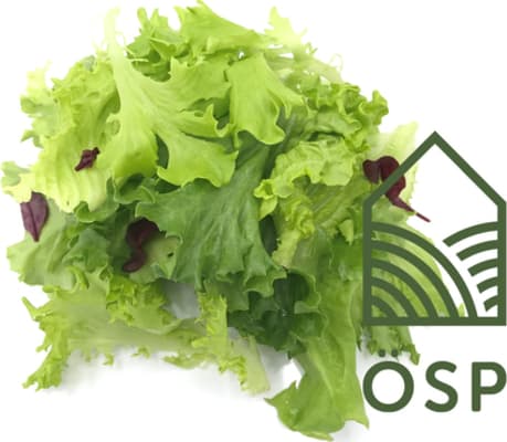 Íslensk salatblanda 1 kg