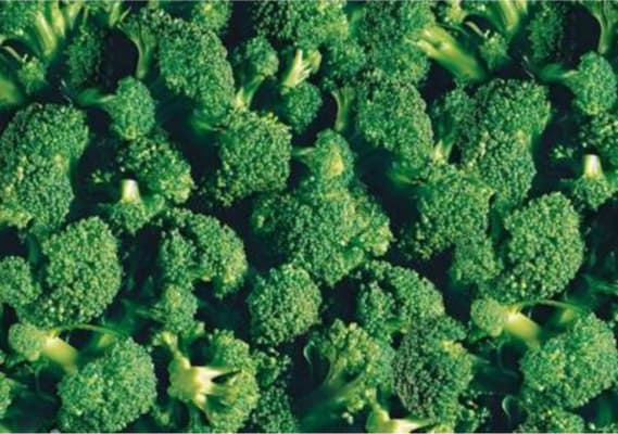 Broccoliblóm 20-24mm