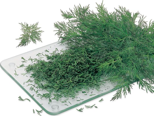 Dill 250g