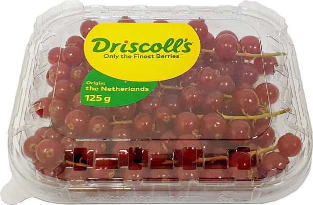 Driscolls Rifsber
