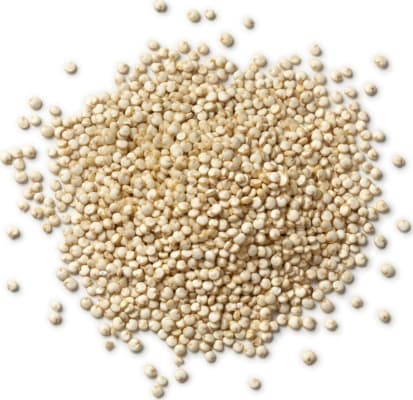 Kínóa fræ – Quinoa [25kg]
