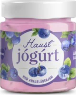 Arna haustjógúrt 170 g