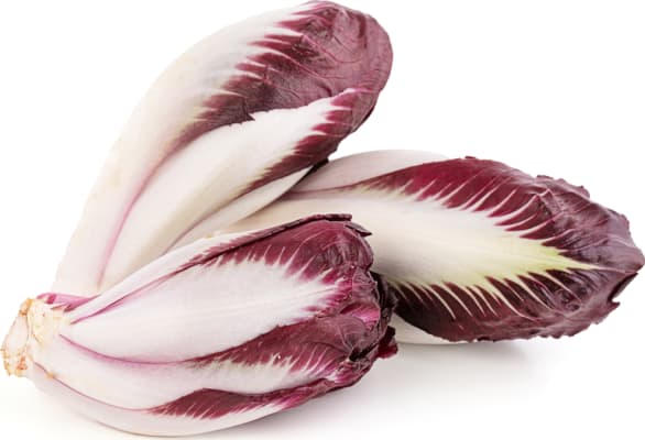 Endive rautt