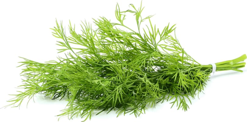 G&V Dill 50 gr