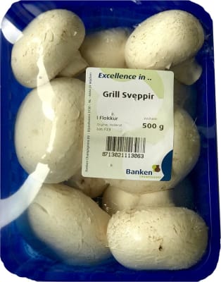 Grillsveppir