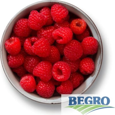 Hindber frystivara 2,5kg (4stk/ks)
