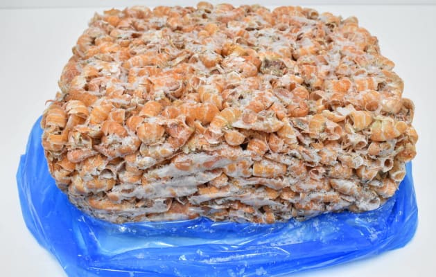 Humarskeljar fyrir soðgerð 5kg
