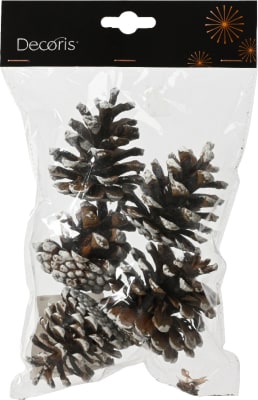 Könglar 5stk.poki Nature 15cm. (36)