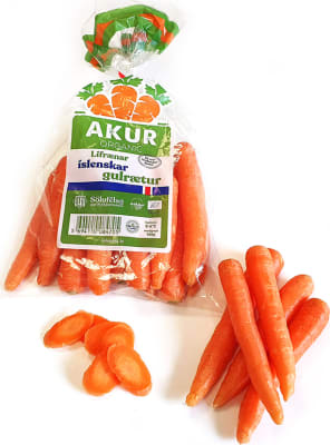 Lífr. Gulrætur 25x500g SFG