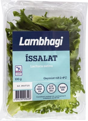 Lambhaga Íssalat Skorið