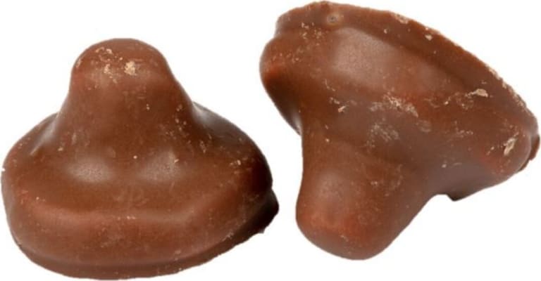Franssons Choklad Svamp
