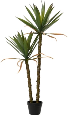 Sisal planta 60x125cm. (4)