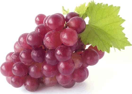 Vínber rauð ca 500 gr