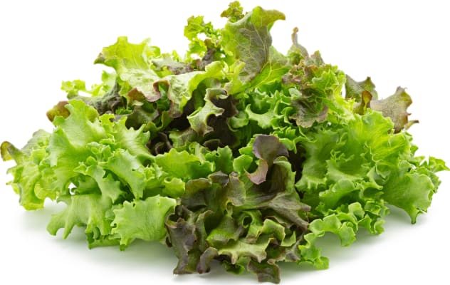 Vaxa Salatblanda