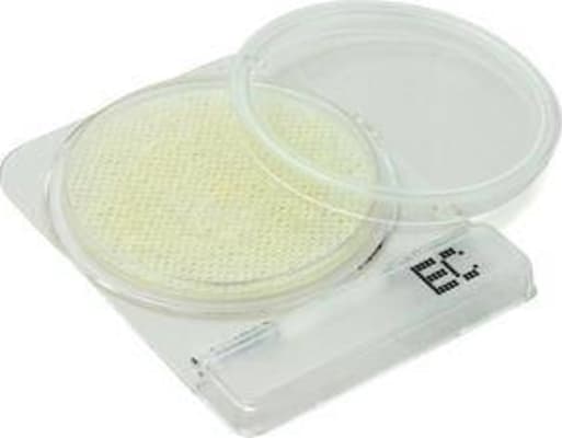 Food Compact Dry EC-E.Coli 4s