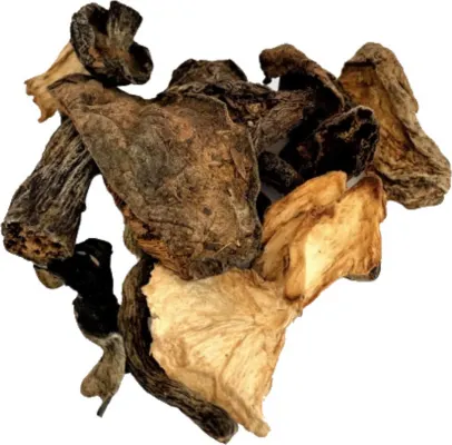 Þurrkuð Villisveppablanda