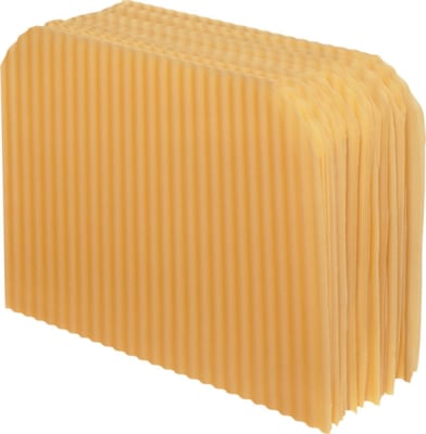 Barilla Lasagne Gastro