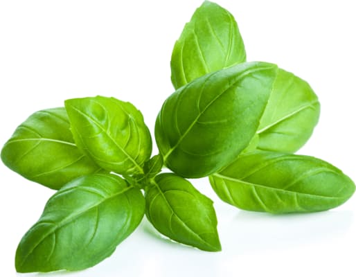 Basil 1kg