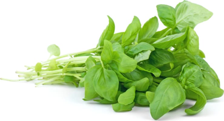 Basil      1 kg