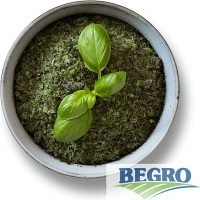 Basil frystiv. 250g (10 stk/ks)