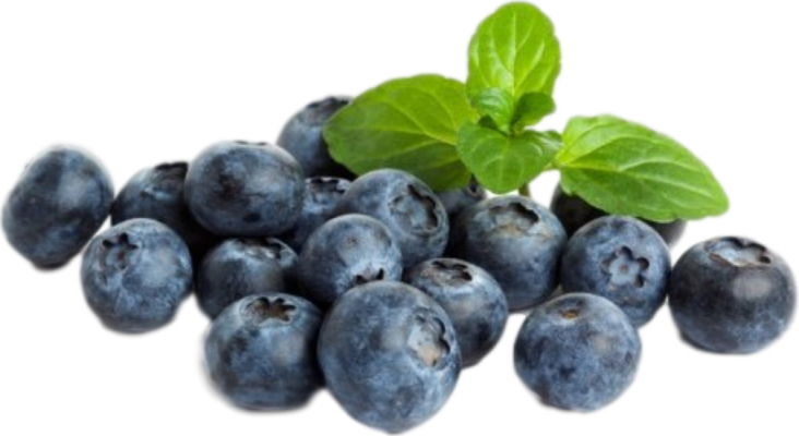 Bluberries Cultivated (5*1) 5 kg