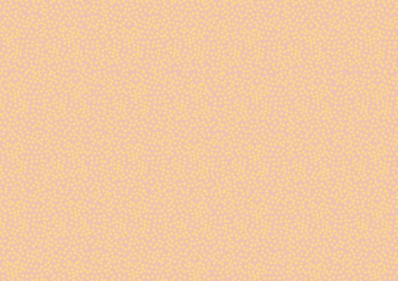 Braun Company Gjafapappír 2m x 70cm Minidots blush
