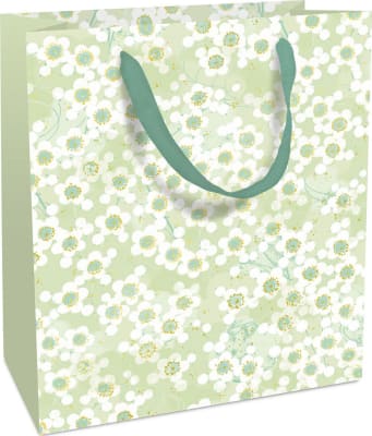 Braun Company Gjafapoki 18x21x8cm Jolie green