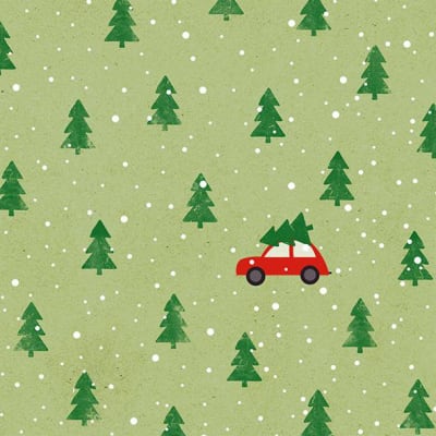 Braun Company Servíettur 3laga 20stk 25x25cm Red Car Green