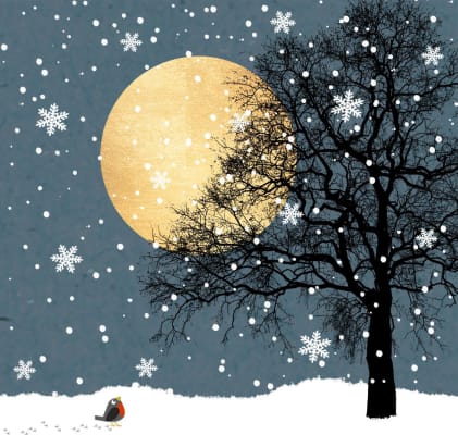 Braun Company Servíettur 3laga 20stk 33x33cm Moonlight night