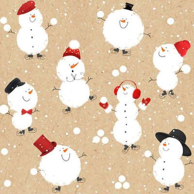 Braun Company Servíettur 3laga 20stk 33x33cm Winter Fun