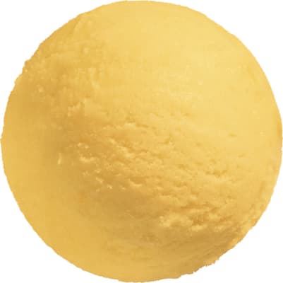 CDP Passion Fruit Sorbet