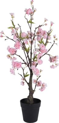 Cherry blossom planta 35x80cm. (4)