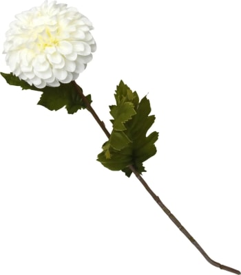 Dahlía hvít 60cm. (10)