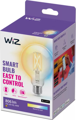 WIZ Globe G95 60w  E27 amb