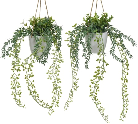 Decoris-Hengiplanta   2teg. 48cm (20)
