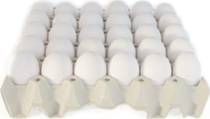 Egg 210stk/ks