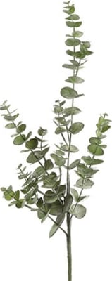 Eucalyptus grein 79cm.(12)