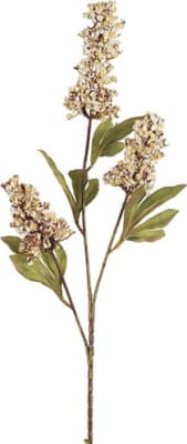 Gerviblóm Fatisa Créme  87cm. (12)