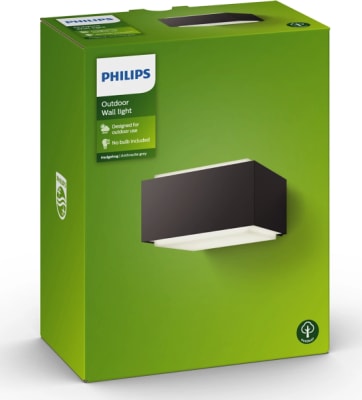 Hedgehog Veggljós Antrasít