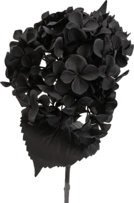 Hortensía Svört 46cm. (10)