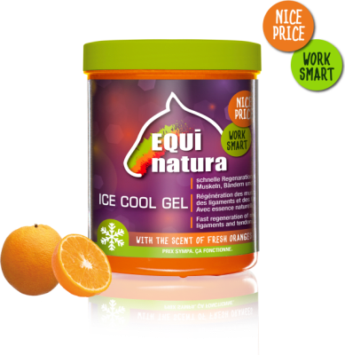 Ice Cool Gel   600ml