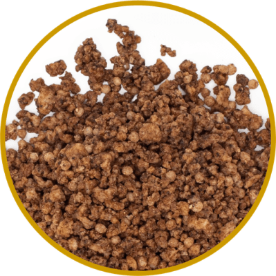 Jorda Espresso Crunch 400g