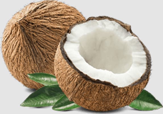 Kókosolía 10ltr