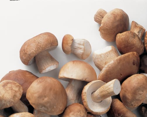 Kóngasveppir heilir King Bolet 600g
