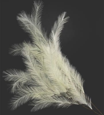 Kersten Skrautgrein 110cm cream