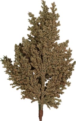 Kersten Skrautgrein 58cm berry branch brown