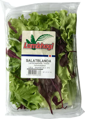 Lambhagi Salatblanda í Boxi